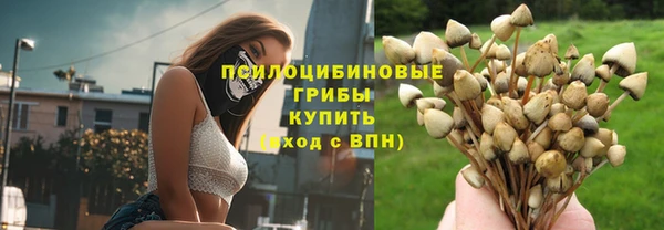 соль ск Мегион