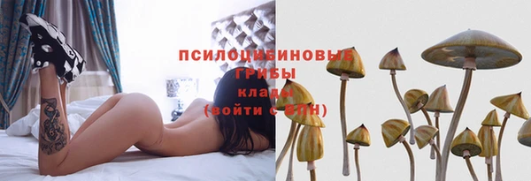прущий лед Медвежьегорск